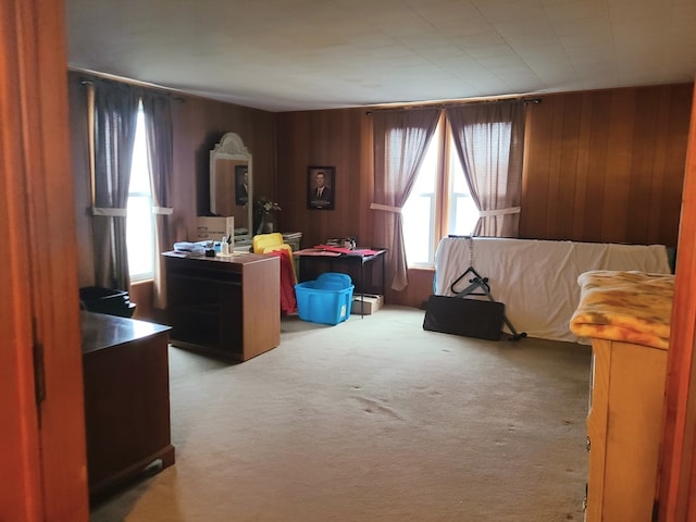 interior space featuring light colored carpet and wood walls