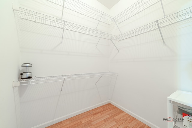 spacious closet with hardwood / wood-style flooring