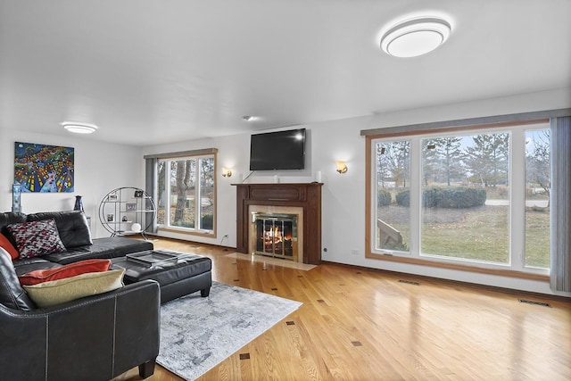 living room featuring a wealth of natural light and wood-type flooring