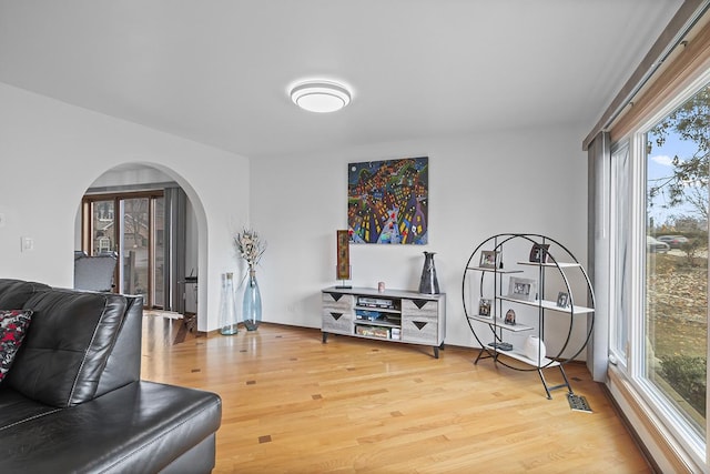 living room featuring hardwood / wood-style floors