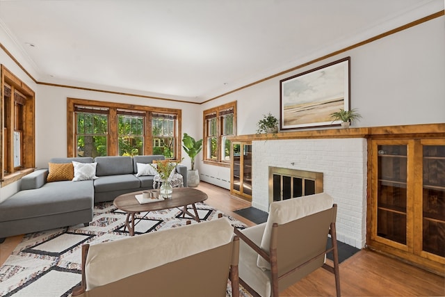 living room featuring crown molding, wood-type flooring, a fireplace, and a baseboard radiator