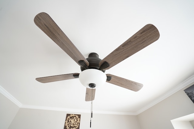 interior details with crown molding