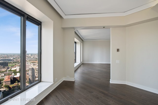 empty room featuring dark hardwood / wood-style floors, plenty of natural light, and crown molding