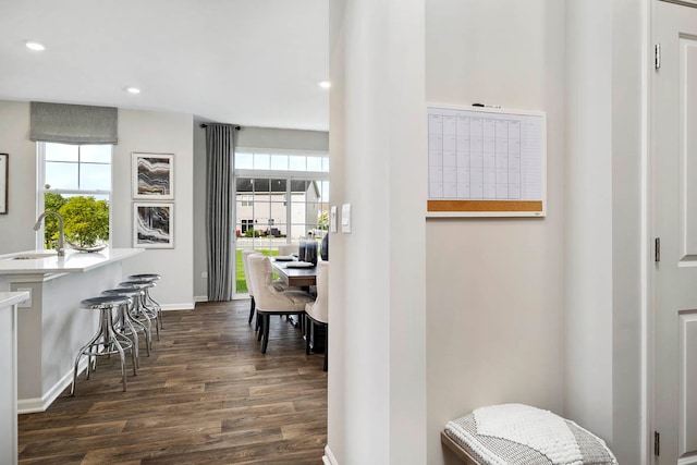 interior space featuring a healthy amount of sunlight, dark hardwood / wood-style flooring, and sink