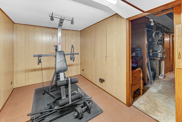 workout area with light colored carpet and wooden walls