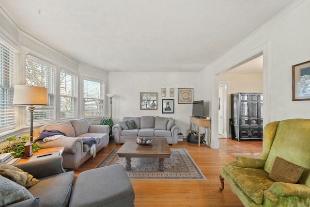 living room with crown molding and light wood-type flooring