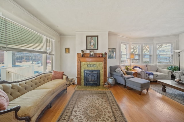 living room with a wood stove, hardwood / wood-style floors, and ornamental molding