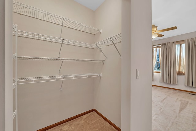 spacious closet featuring ceiling fan and carpet floors