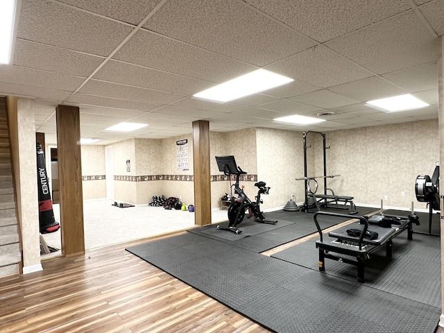 exercise room with hardwood / wood-style flooring and a drop ceiling