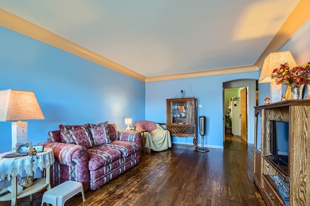 living room with dark hardwood / wood-style floors