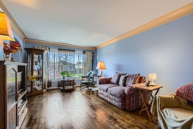 living room featuring dark wood-type flooring