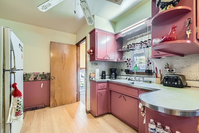 kitchen featuring backsplash, light hardwood / wood-style flooring, white fridge, and sink