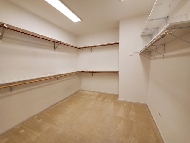 walk in closet with light colored carpet