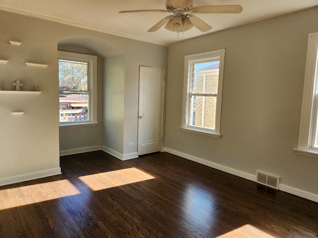 7715 S Paxton Ave, Chicago, IL 60649 - spare room featuring plenty of natural light, dark wood-type flooring, baseboards, and ornamental molding