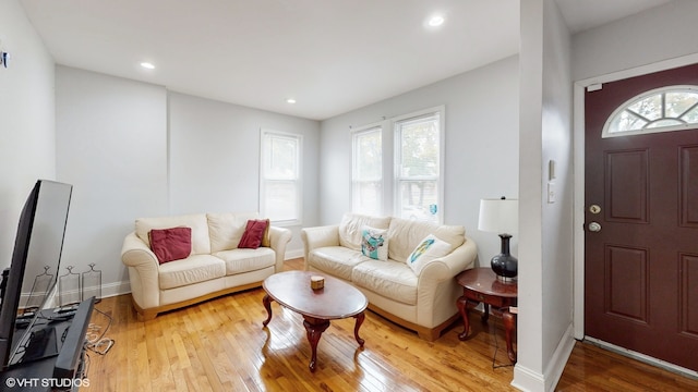 living room with light wood-type flooring and a wealth of natural light