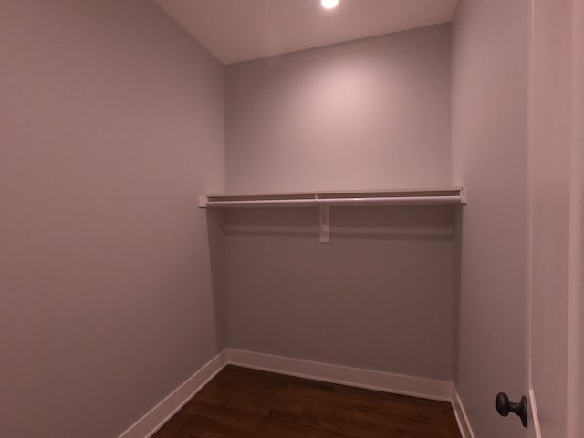 spacious closet with dark hardwood / wood-style flooring