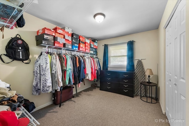 spacious closet featuring carpet flooring