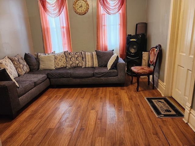 living room featuring hardwood / wood-style floors