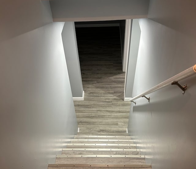 staircase with wood-type flooring