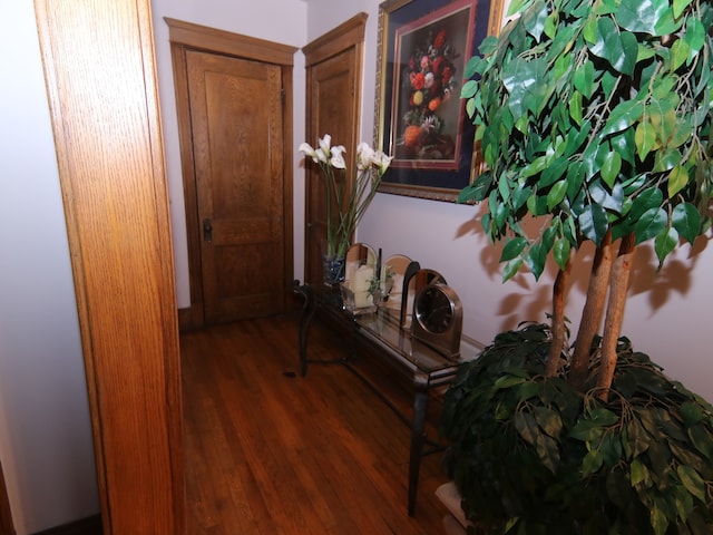 hallway featuring dark hardwood / wood-style flooring