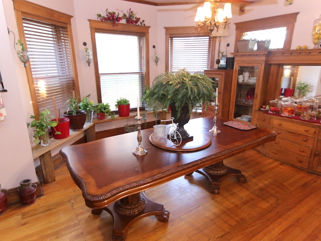 dining room with a healthy amount of sunlight, a notable chandelier, and light wood-type flooring