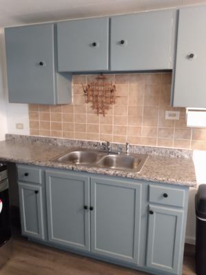 kitchen with dark hardwood / wood-style flooring, tasteful backsplash, gray cabinets, and sink