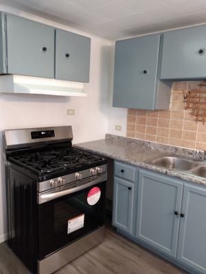 kitchen with decorative backsplash, stainless steel gas stove, dark wood-type flooring, and sink