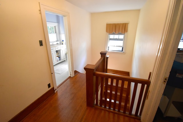 hallway with dark hardwood / wood-style floors and plenty of natural light