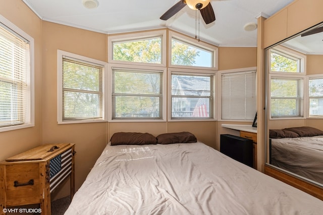 bedroom with ceiling fan, lofted ceiling, ornamental molding, and multiple windows