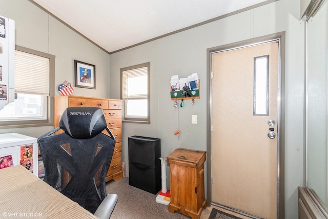 184 Eon Ln, Wilmington, IL 60481 - carpeted home office with crown molding and vaulted ceiling