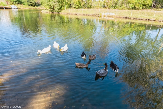 view of water feature