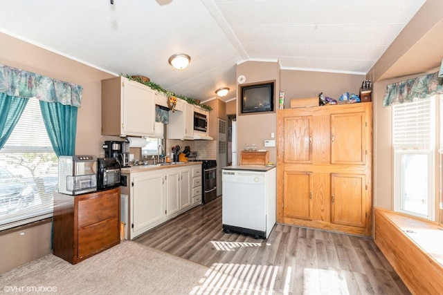 184 Eon Ln, Wilmington, IL 60481 - kitchen with stainless steel appliances, healthy amount of natural light, light wood finished floors, lofted ceiling, and crown molding