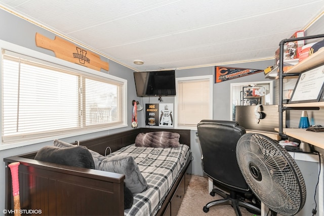 carpeted office with ornamental molding