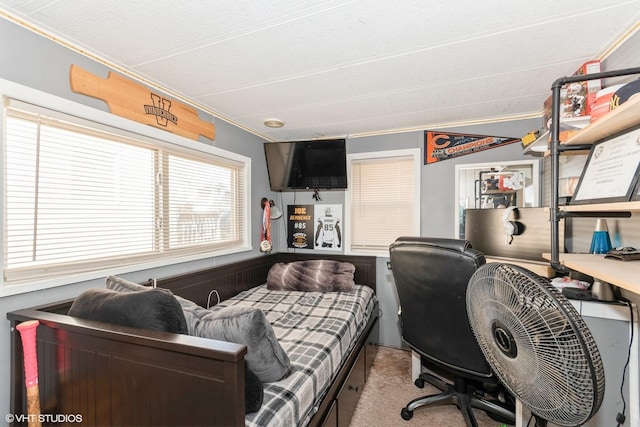 184 Eon Ln, Wilmington, IL 60481 - bedroom featuring crown molding and an office area