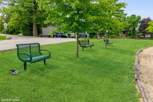 view of home's community with a yard