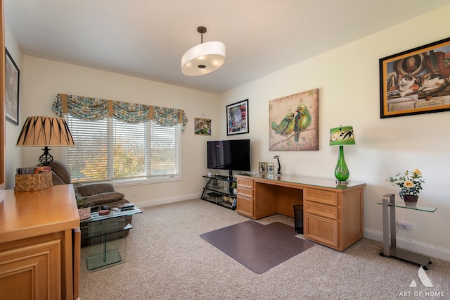 view of carpeted office space