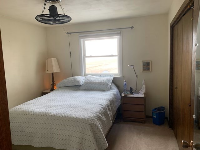 1522 E 7th Rd, Lostant, IL 61334 - bedroom featuring light carpet