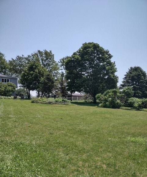 1522 E 7th Rd, Lostant, IL 61334 - view of yard