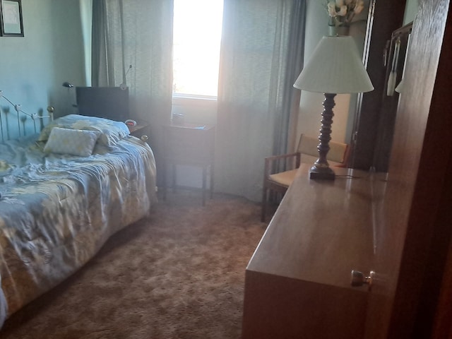 1522 E 7th Rd, Lostant, IL 61334 - bedroom with carpet floors
