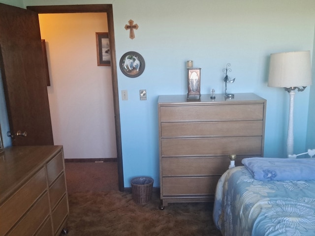 1522 E 7th Rd, Lostant, IL 61334 - bedroom featuring dark carpet and baseboards