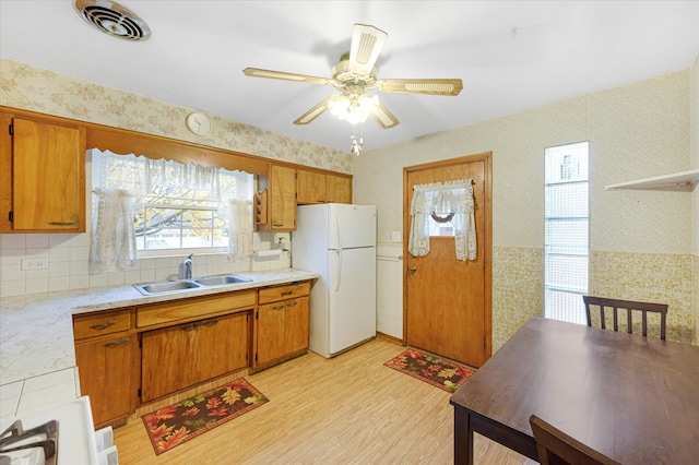 kitchen featuring ceiling fan, white refrigerator, light hardwood / wood-style floors, and sink