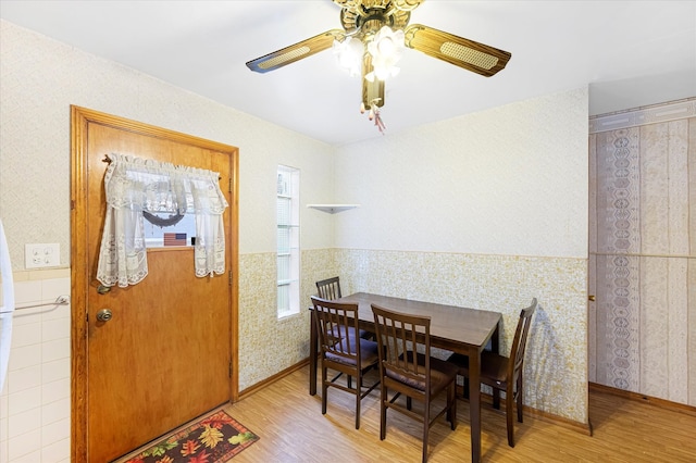 dining area with ceiling fan, light hardwood / wood-style floors, and tile walls