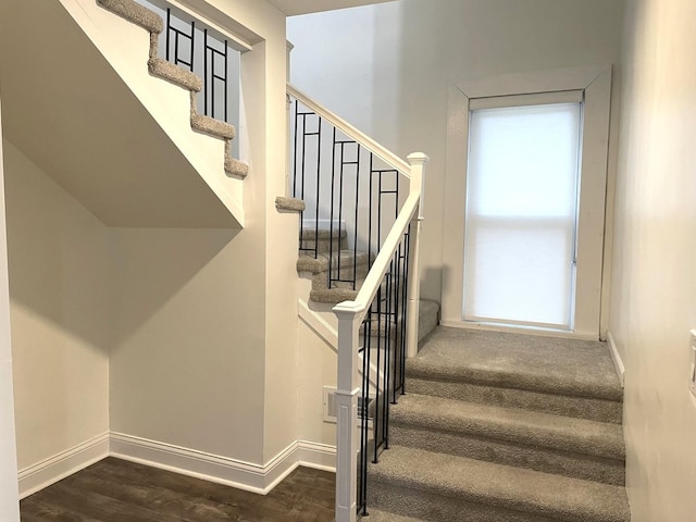 staircase with hardwood / wood-style flooring