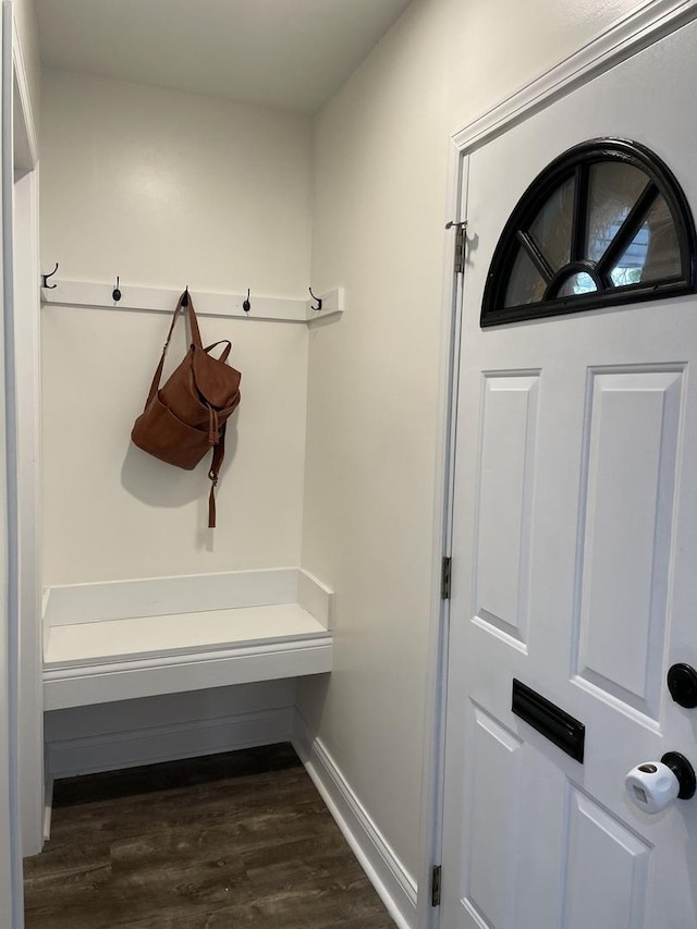 mudroom with dark hardwood / wood-style floors