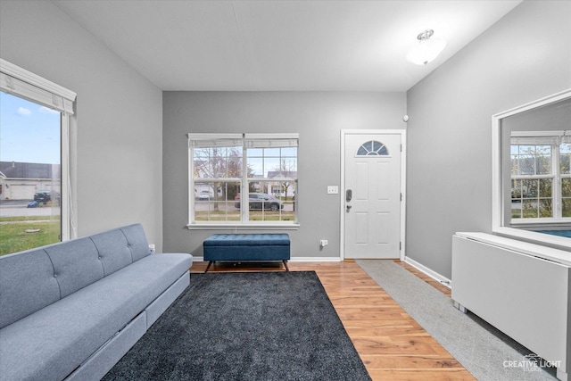 living room featuring hardwood / wood-style floors, a wealth of natural light, and radiator heating unit