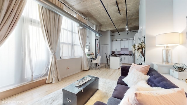 living room with rail lighting, light hardwood / wood-style flooring, and sink