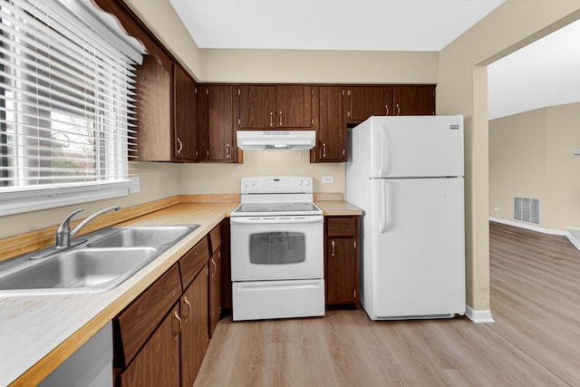 kitchen with white appliances, light hardwood / wood-style flooring, and sink