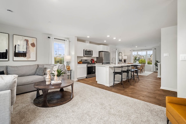 living room featuring sink and light hardwood / wood-style floors