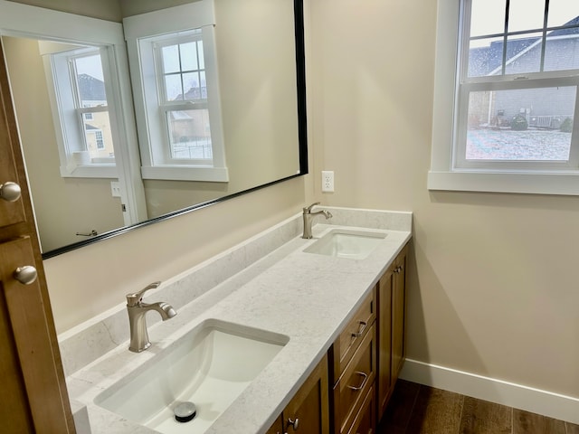 bathroom with hardwood / wood-style floors, vanity, and a healthy amount of sunlight