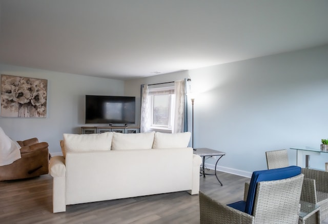 living room featuring hardwood / wood-style floors